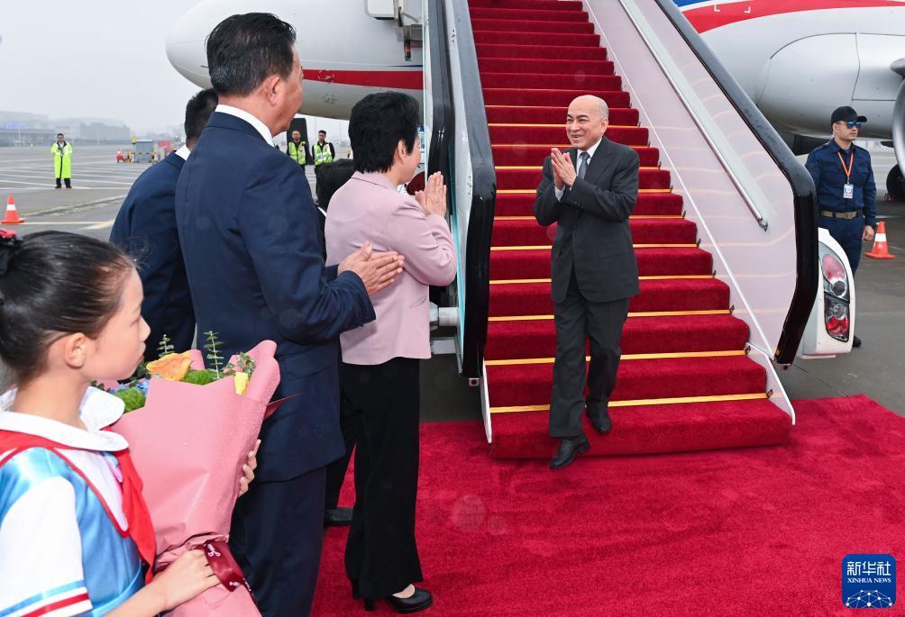 金钱豹vip相信你的选择